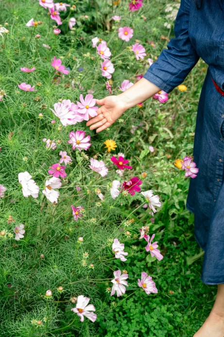 Baru jemně hladí květinu