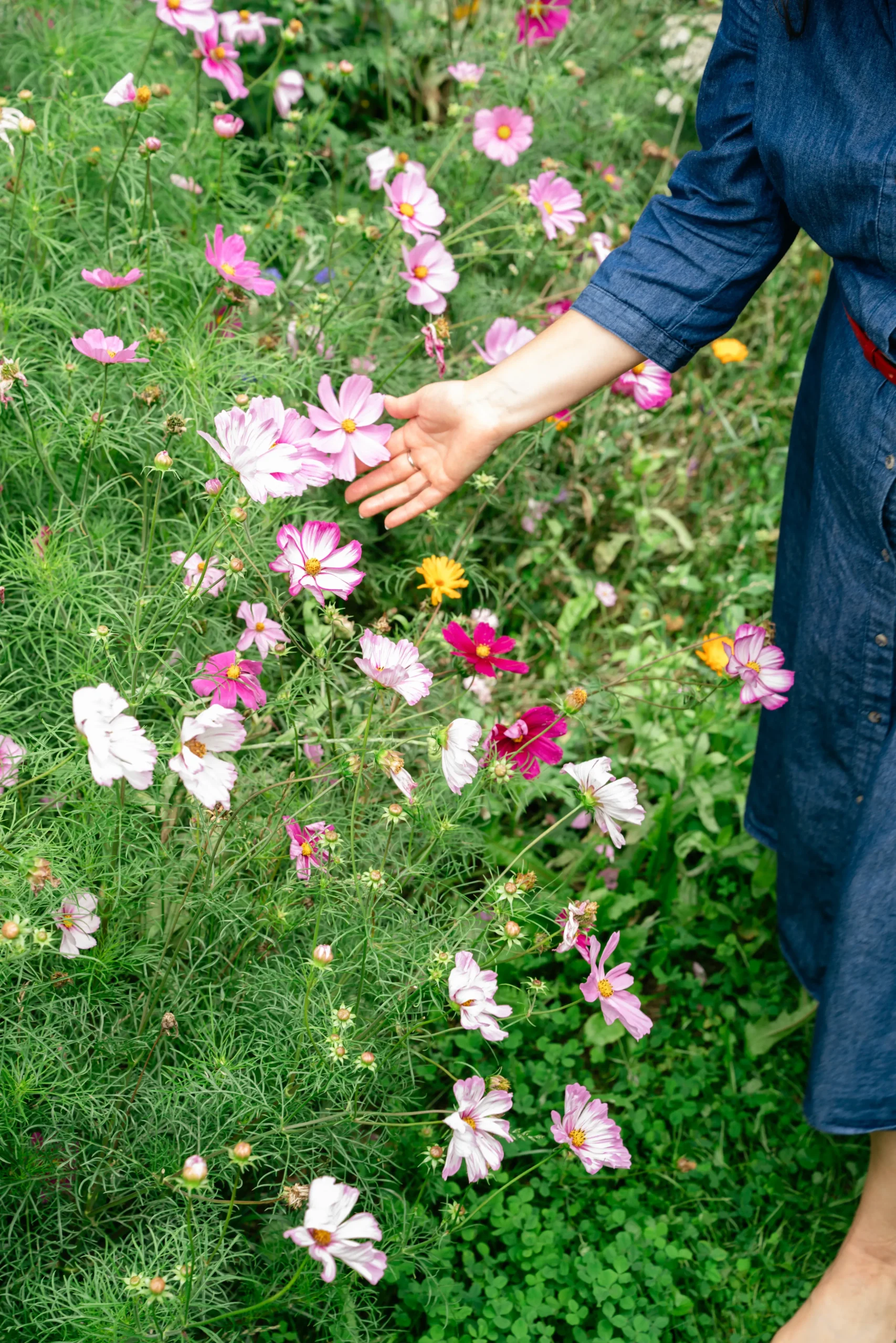 Baru jemně hladí květinu