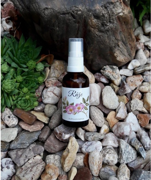 Esence růže